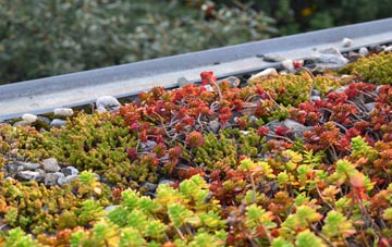 the cost of Thornes green roof installation