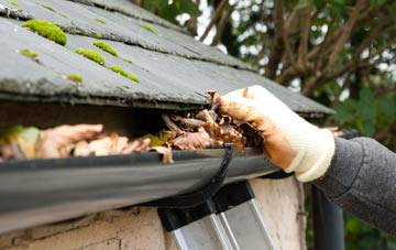 gutter cleaning Thornes