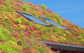 Thornes living roof systems
