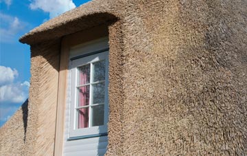 Thornes thatch roof disadvantages